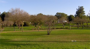 Parques de Sevilla